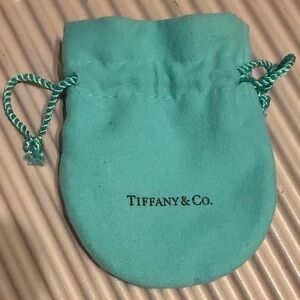 Tiffany & Co. Turquoise Jewelry Pouch